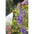 GARDENA Spray Lance 18330-20 - фото 2