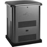 Briggs & Stratton G80