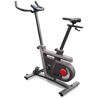Carbon Fitness U818 Magnex