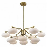 Favourite Pernetti 2513-13P