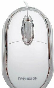 Гарнизон GM-100W фото