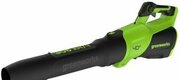 Greenworks GD40BG3 2408207 фото