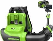Greenworks GD40BPG2K4 2408107UB фото