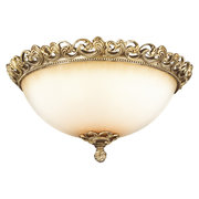 Odeon Light 2431/3C фото