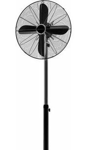 Proficare PC-VL 3064 MS schwarz фото