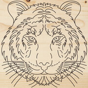 Rexant Тигр 12-0903 фото