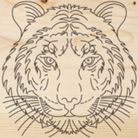 Rexant Тигр 12-0903