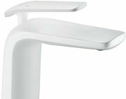 Rose R3901C фото