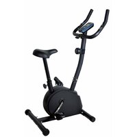 Royal Fitness RF-12 магнитный RFIB-12