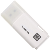 Toshiba Hayabusa 3.0